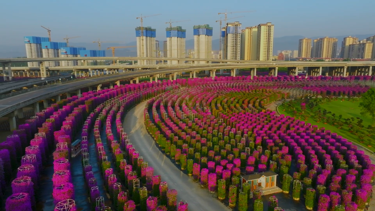 afc499da7cdd14e56abdd02662671c5c