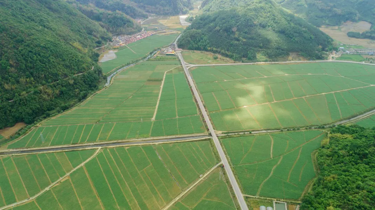 640_wx_fmt=jpeg&tp=webp&wxfrom=5&wx_lazy=1.webp (2).png