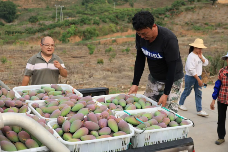 640_wx_fmt=jpeg&from=appmsg&tp=webp&wxfrom=5&wx_lazy=1.webp (2).png