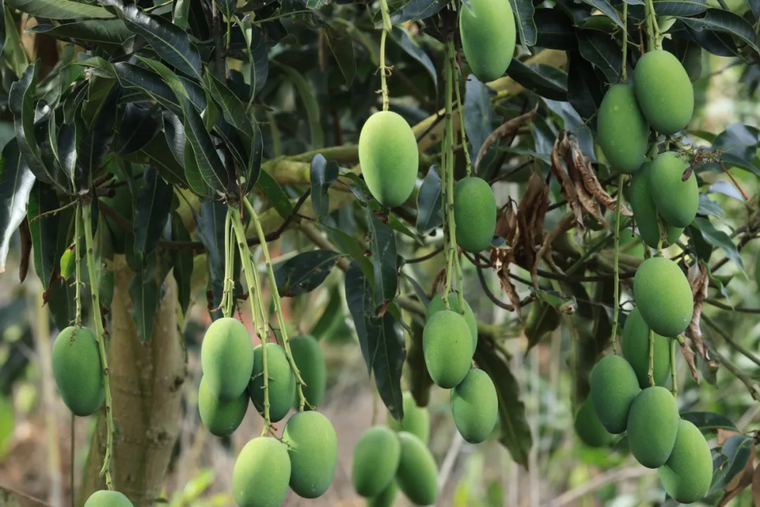 640_wx_fmt=jpeg&from=appmsg&tp=webp&wxfrom=5&wx_lazy=1.webp (3).png