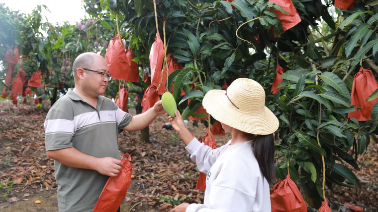 640_wx_fmt=jpeg&from=appmsg&tp=webp&wxfrom=5&wx_lazy=1.webp (4).png