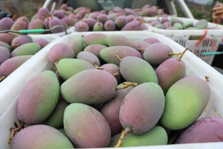 640_wx_fmt=jpeg&from=appmsg&tp=webp&wxfrom=5&wx_lazy=1.webp (5).png