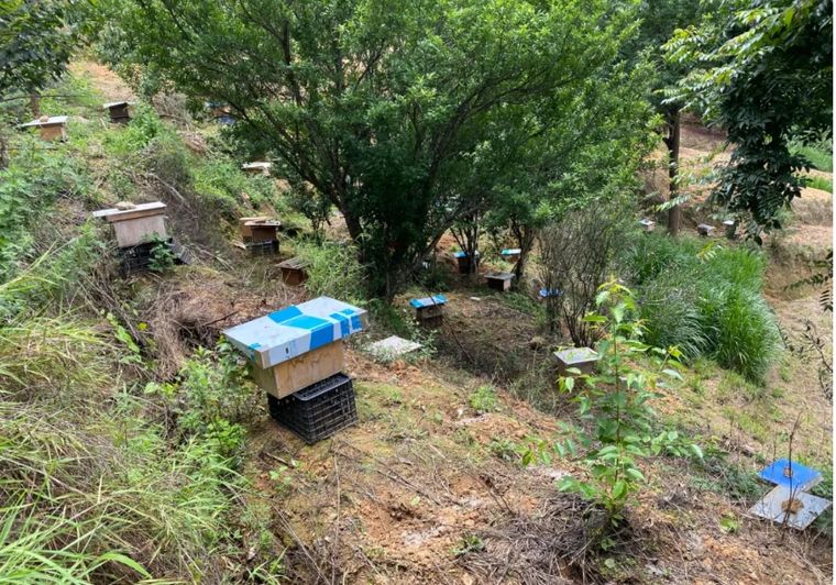 1749429790408169.jpg 02.jpg