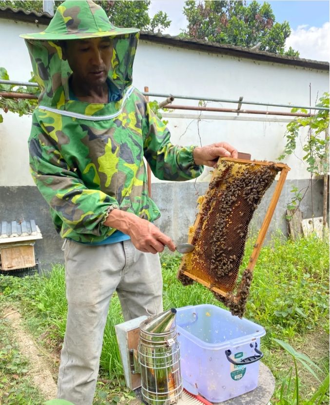 1749429808847076.jpg 04.jpg