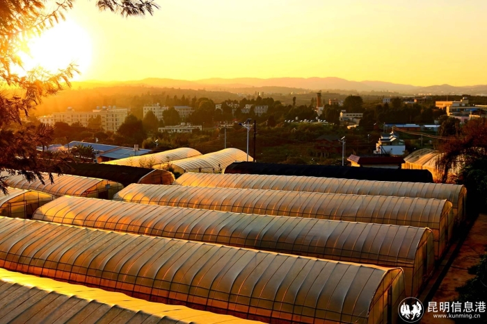 3d14e3ff0263475e86b83e3c362a523b