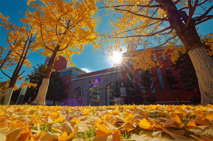 9ed5b5de1eb95ae5112a140ab41c865