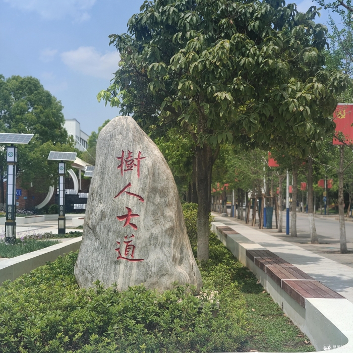 树人大道 树人大道