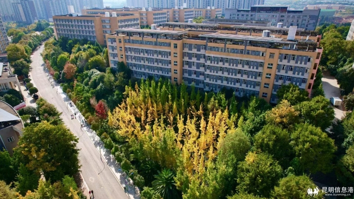 微信图片_20250519114625