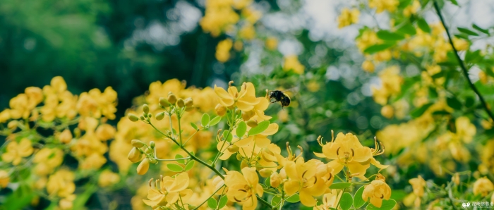 微信图片_20250519114450