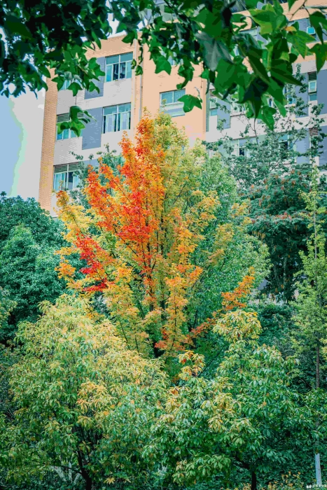 微信图片_20250519114550