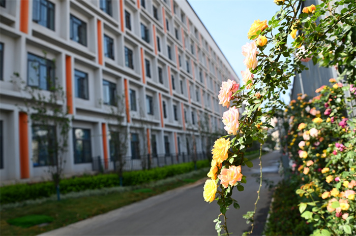 b74574ef21f250d37d8fb1d056e1c9e b74574ef21f250d37d8fb1d056e1c9e