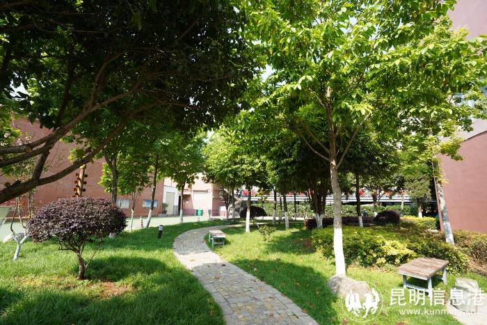 校园林荫小道 校园林荫小道