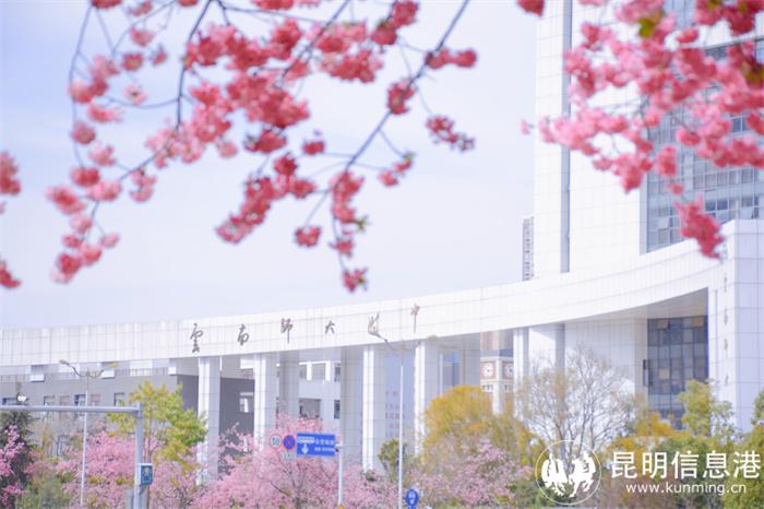 学校春景 学校春景