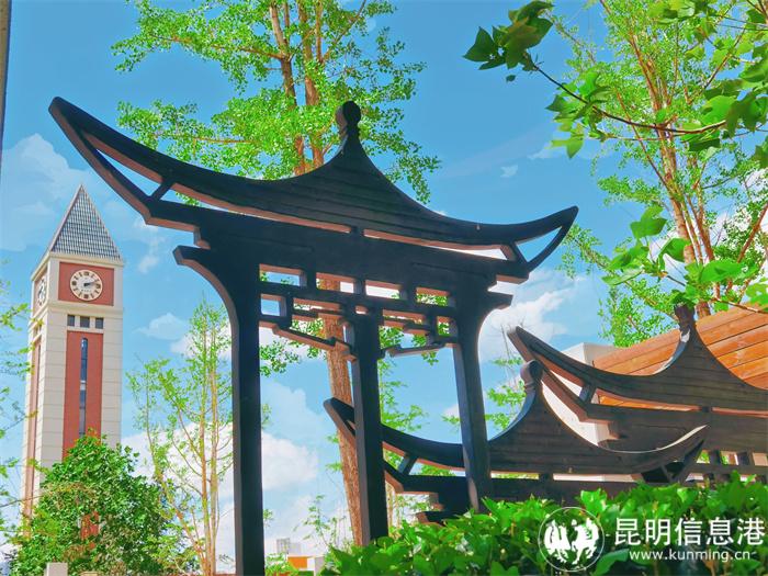 夏日物语 夏日物语