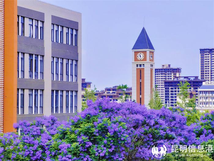 学校教学楼 学校教学楼