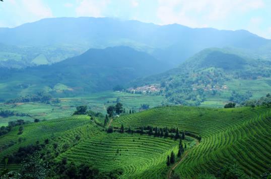 1750126913206688.jpg 360截图20250617102038335.jpg