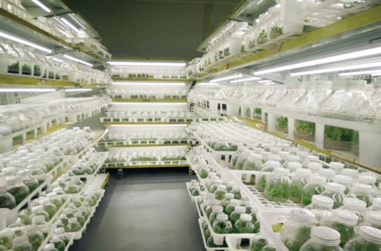 1750126923612625.jpg 360截图20250617102048984.jpg