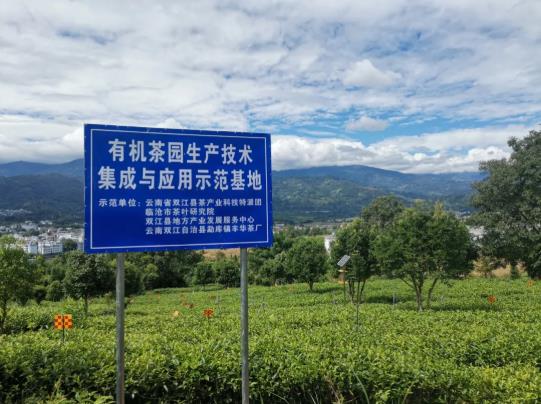 1750126980237039.jpg 360截图20250617102141430.jpg