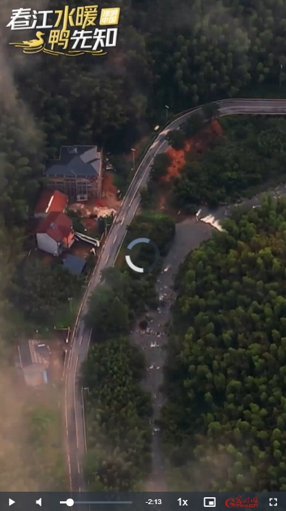 微信截图_20250618180559