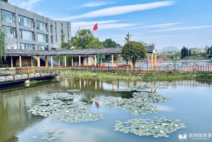 学校简介 学校简介