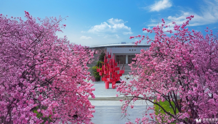 3.三中薪火相传