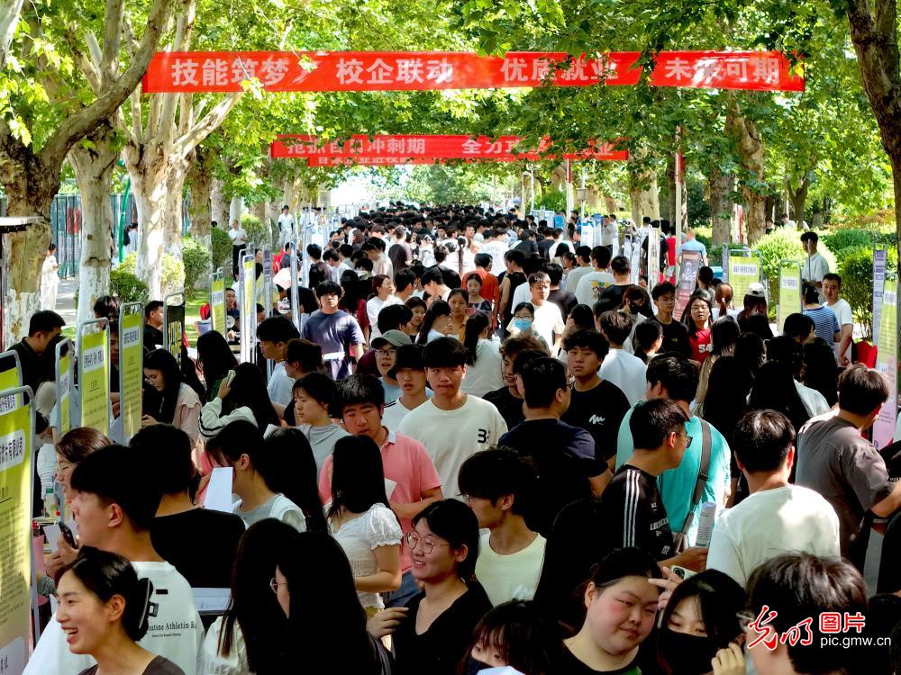 【职引未来】为青春护航 各地促就业再加力