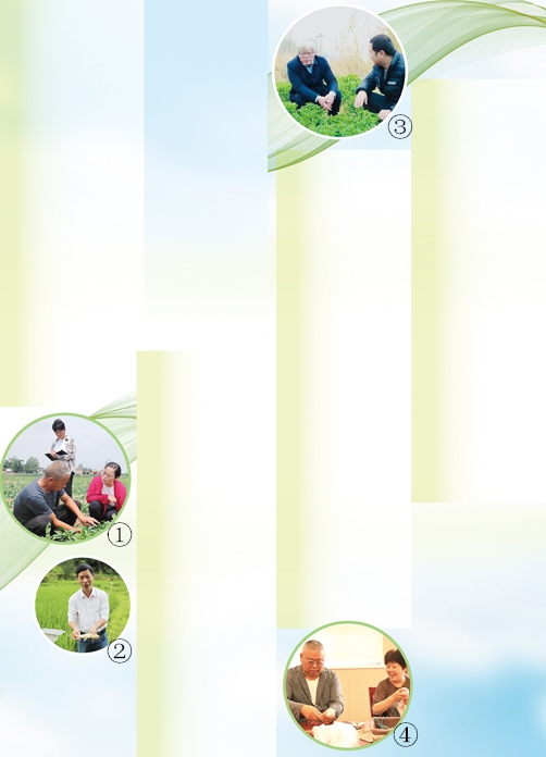 微信截图_20250627210334