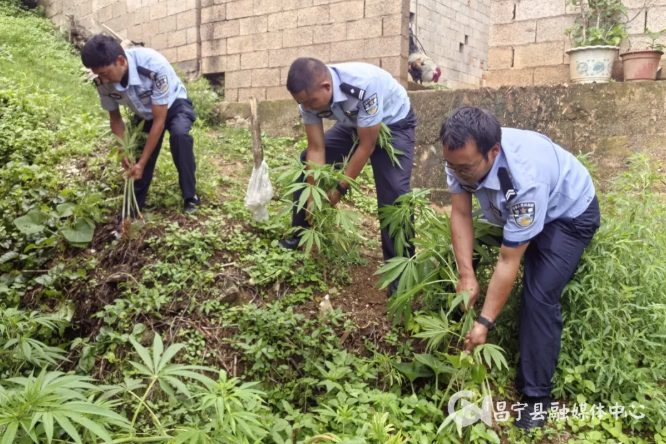 dec531c08310601eac24c53c45447acf