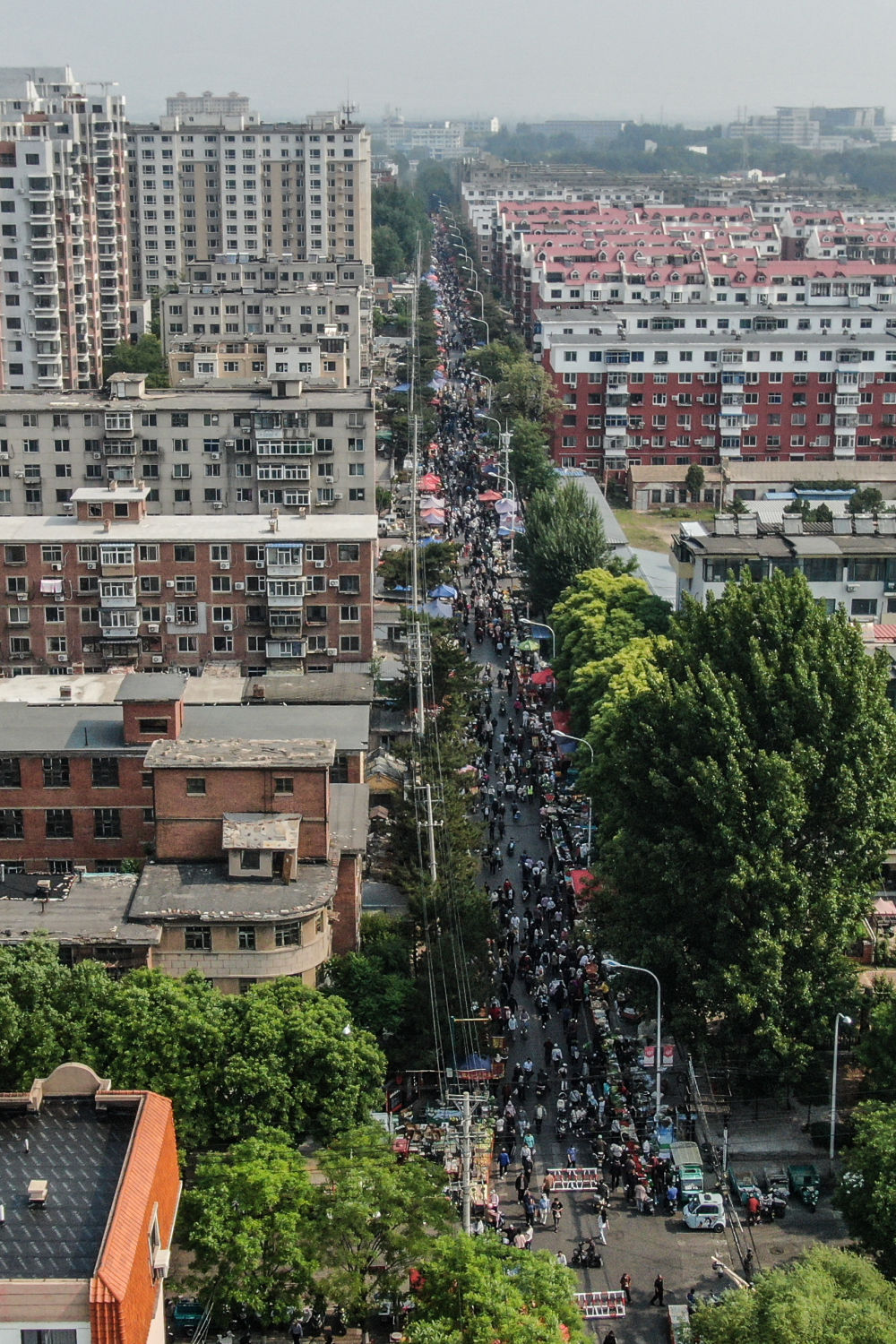 解码文化自信的城市样本｜锦绣之州物华新——解码“山海福地”锦州的文化自信样本