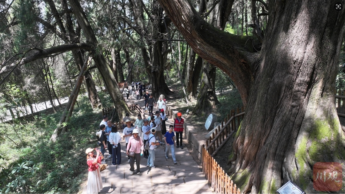 1750596505387002522.jpg-cgwapimg