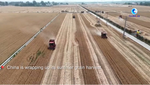 微信截图_20250629151522