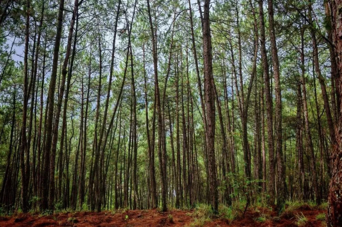 cf41171600ca7685a853648ca121ee03