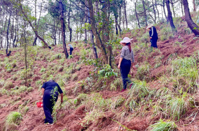 40f4cf6ae4858863545effb35bea3885