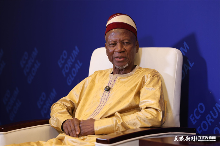 几内亚全国过渡委员会第二副主席 塞尼·法西内·西拉.jpg