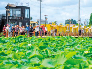 图为游客在沙堤村游玩。 古滇康养园供图