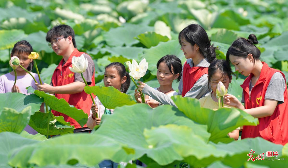 青春在奉献中闪光 爱心暑托护航儿童快乐成长