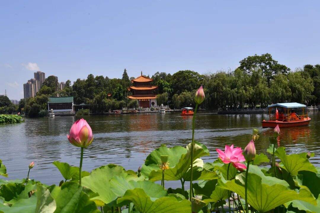 大观公园 (3).jpg