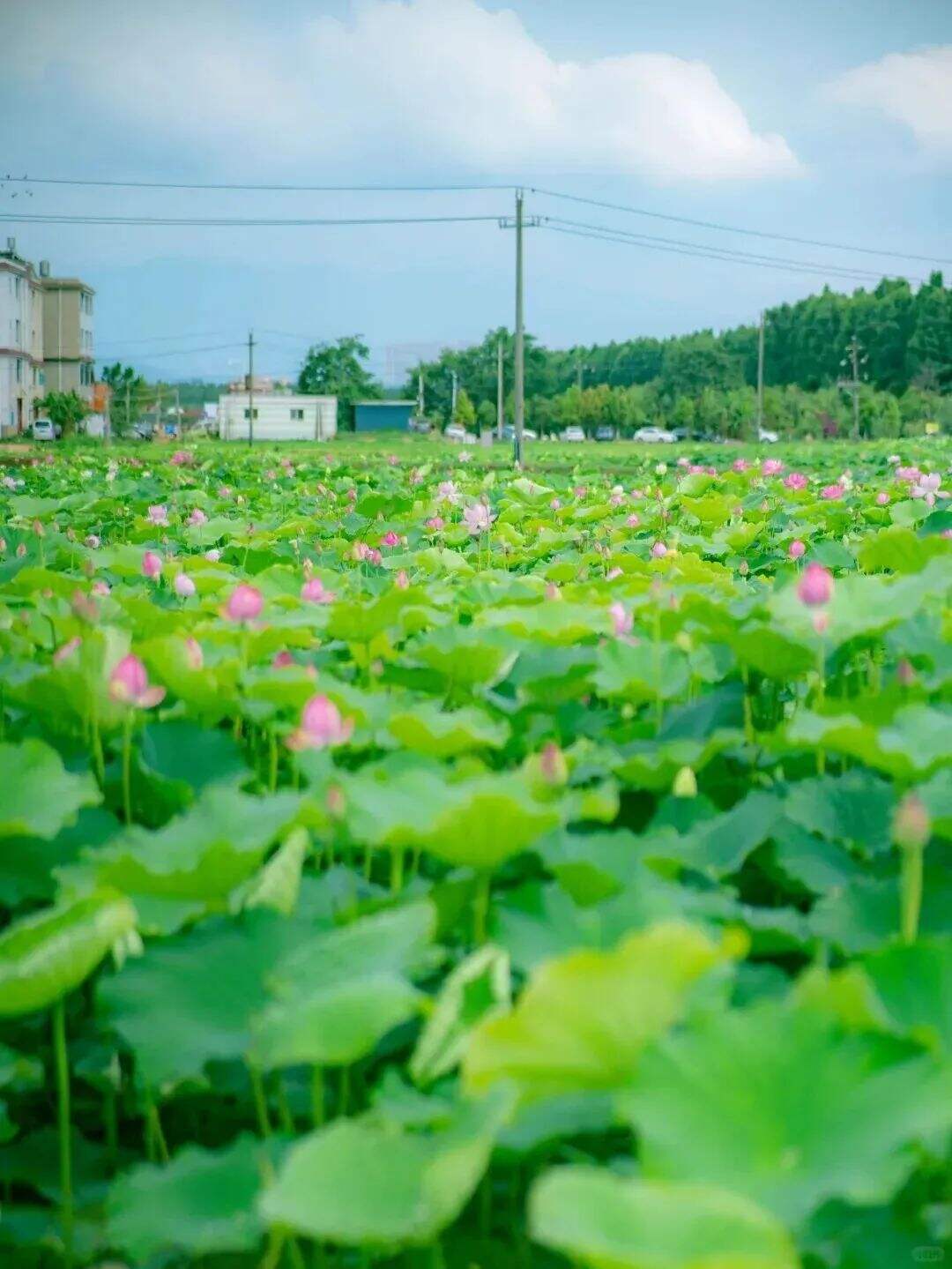 江尾社区 (2).jpg