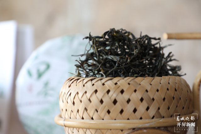 竹山茶3 苏红亮 摄.JPG