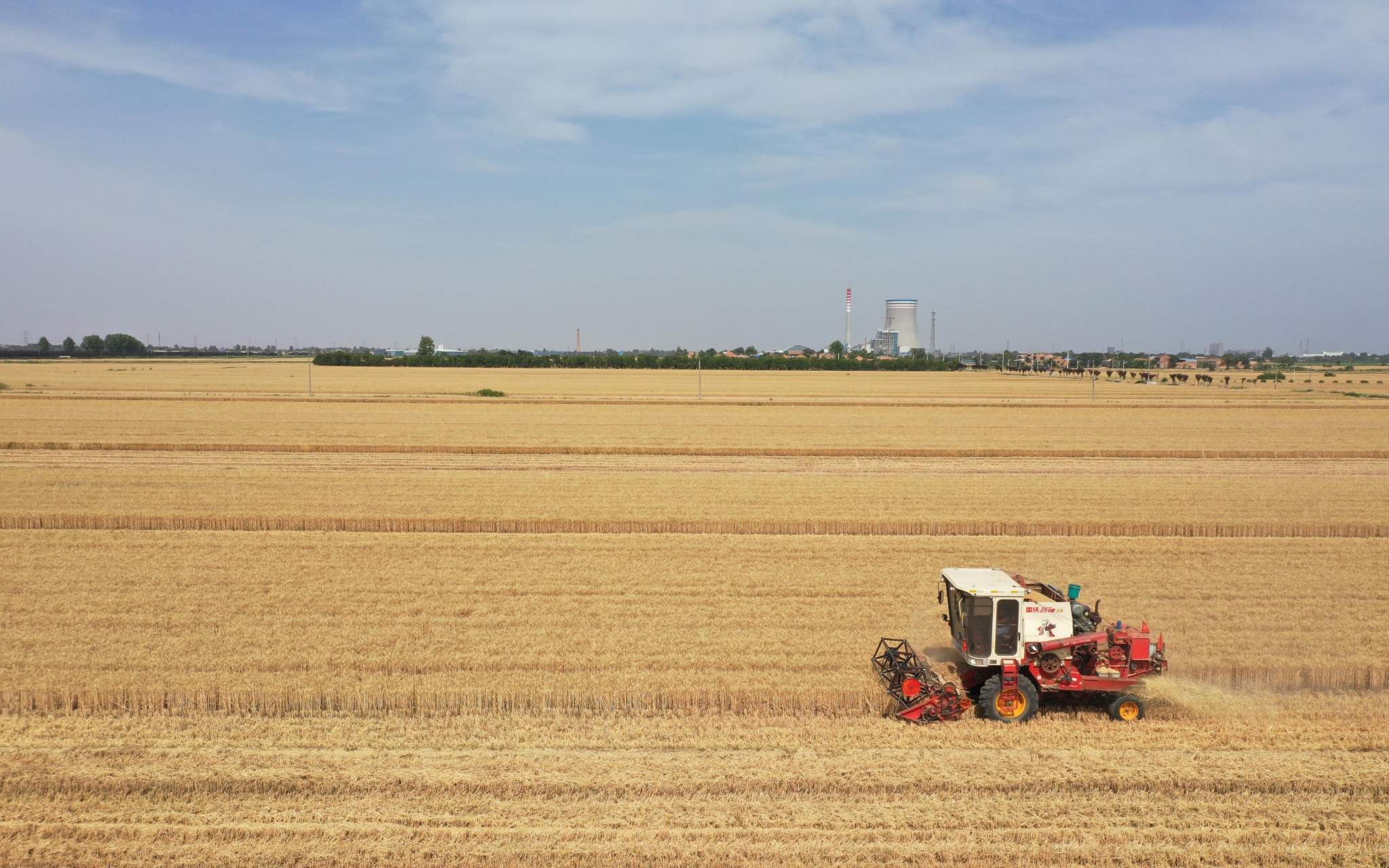 交口抽渭灌区小麦夏收。受访者供图