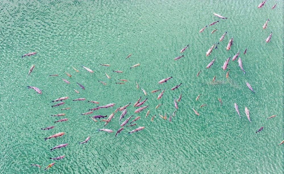 fe984561-1852-4efb-be16-77164d1ddaf7