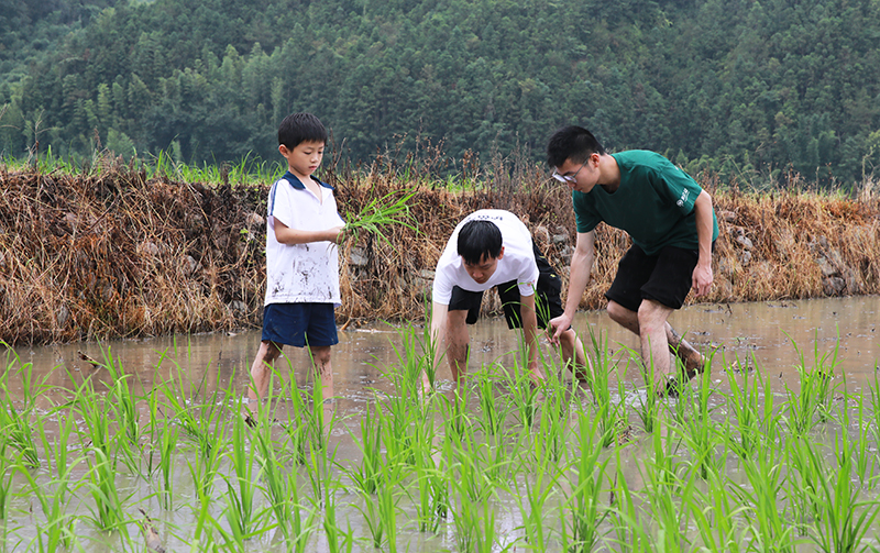 【图鉴】青春志 风华录