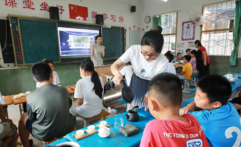 【图鉴】青春志 风华录