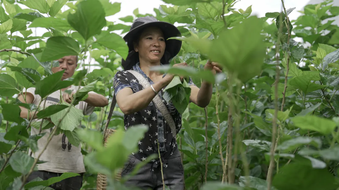 640_wx_fmt=jpeg&from=appmsg&tp=webp&wxfrom=5&wx_lazy=1.webp (1).png