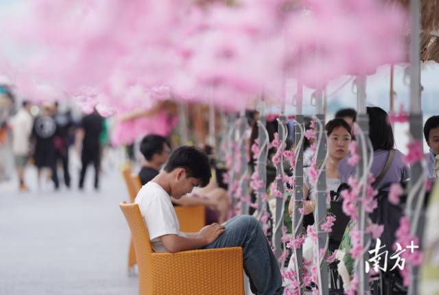 崖口村东堤靠近海岸，成为了热门打卡休闲地点。