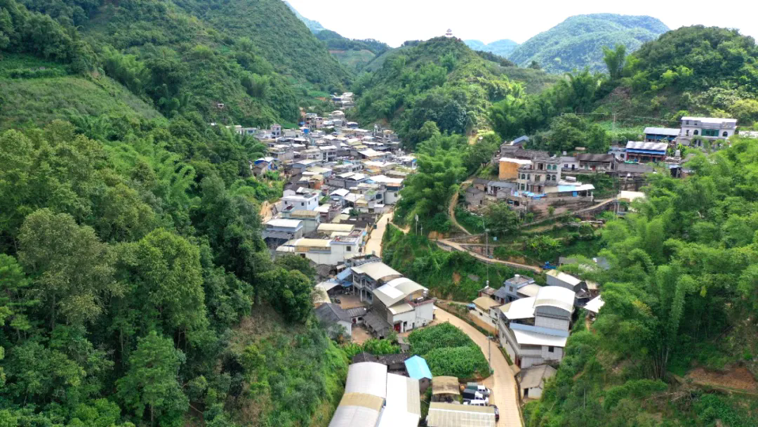 1752804908684053.png 640_wx_fmt=png&from=appmsg&randomid=kbe56bwx&tp=webp&wxfrom=5&wx_lazy=1.webp.png