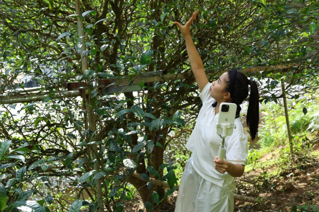 1752804954366404.png 640_wx_fmt=jpeg&from=appmsg&randomid=2f3efidn&tp=webp&wxfrom=5&wx_lazy=1.webp.png