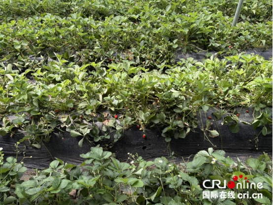 图片默认标题_fororder_定稿1011