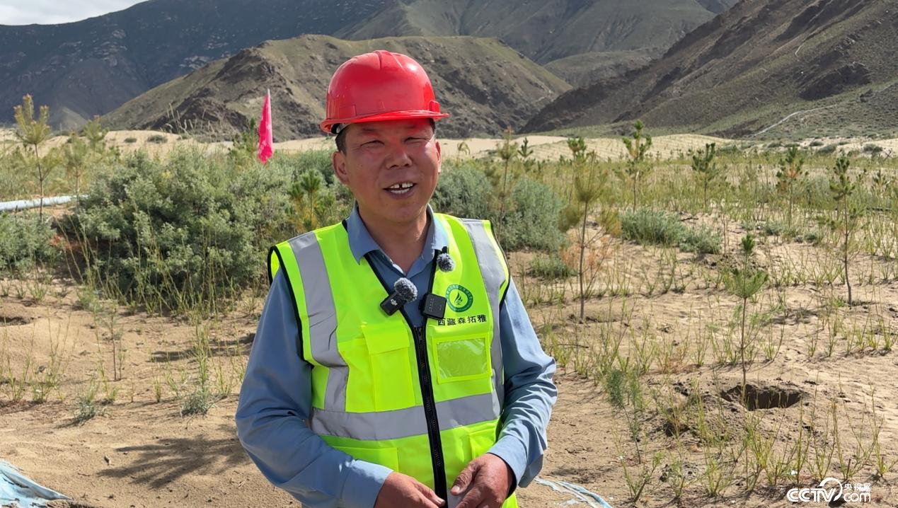 金辉(摄影 李婷婷)