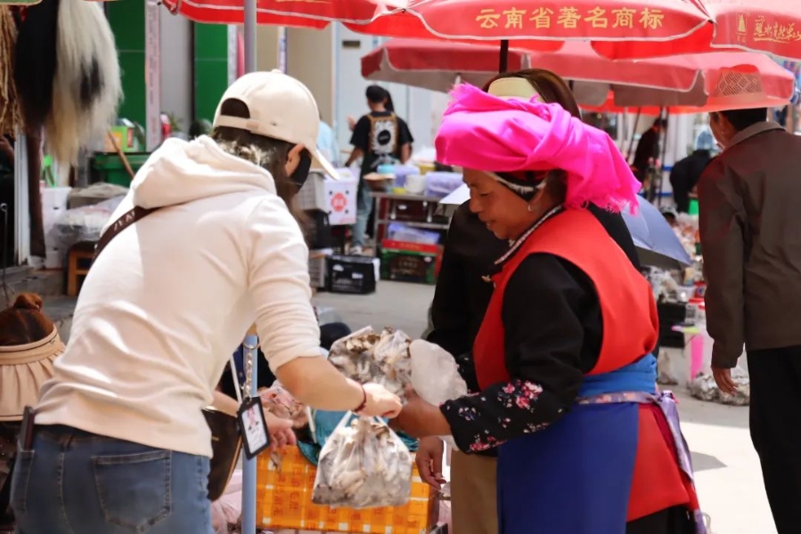 c2016e66-7ec8-4547-9add-fc9b19604560 c2016e66-7ec8-4547-9add-fc9b19604560